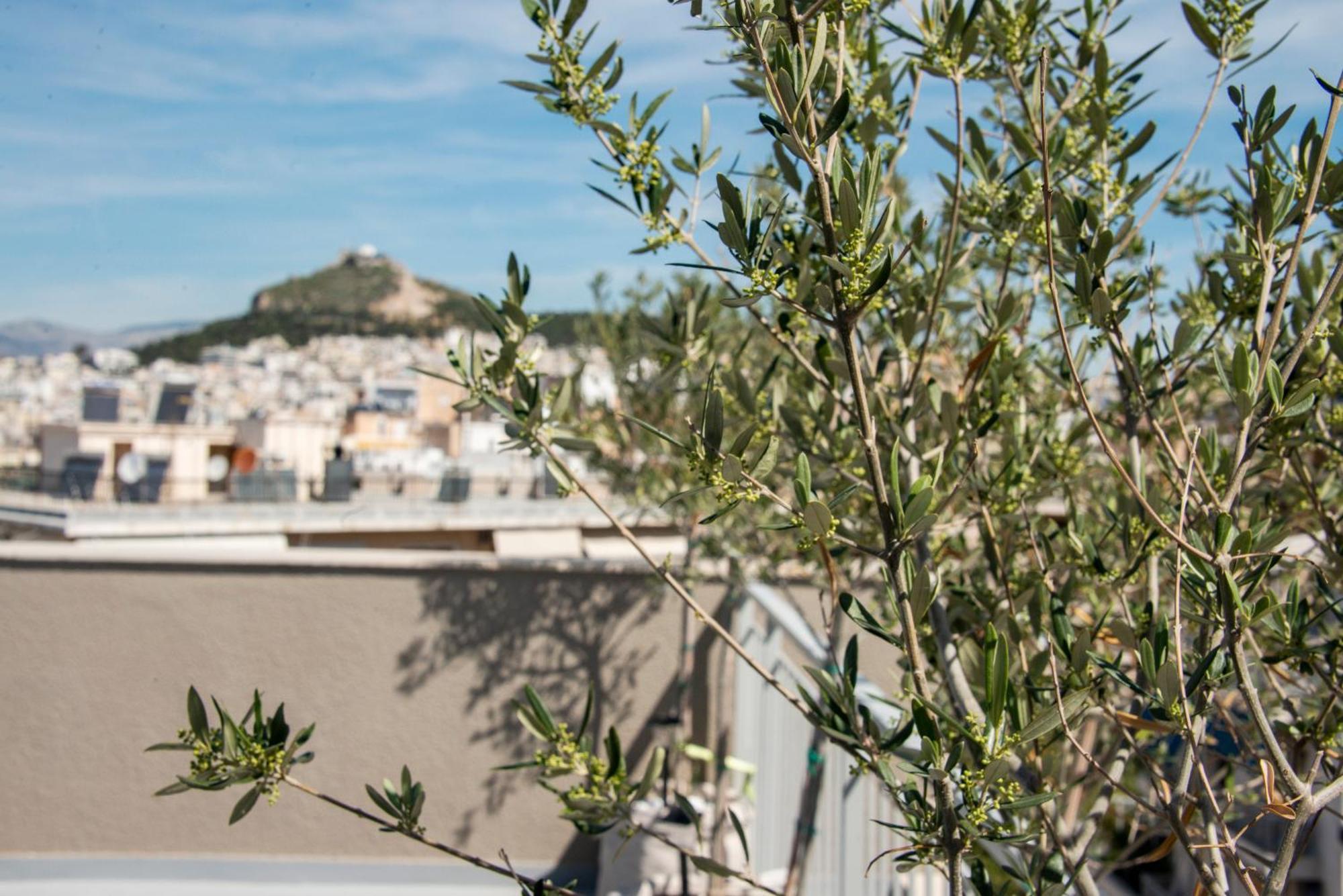 The Athenian Oasis Daire Dış mekan fotoğraf